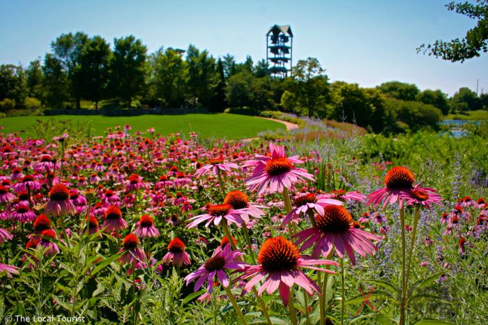 Chicago Botanic Garden