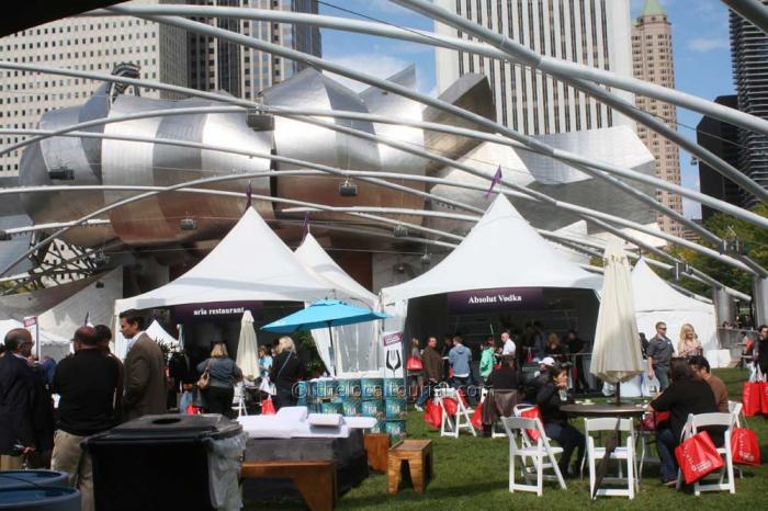 Millennium Park: Everything you need to know 1