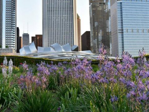 Lurie Garden