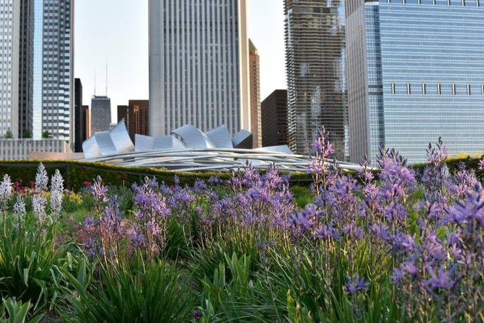 Lurie Garden in Chicago's Millennium Park