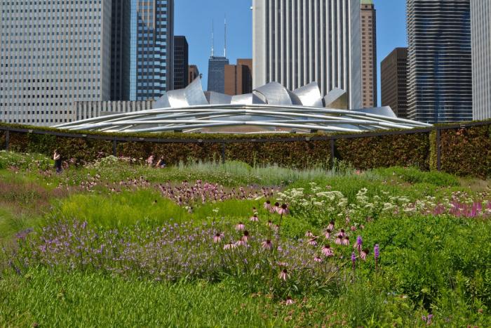 Lurie Garden at Millennium Park, photo credit Center for Neighborhood Technology