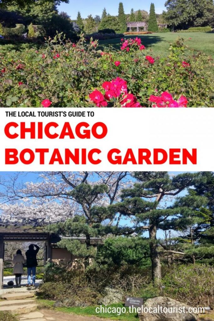 The Local Tourist's Guide to Chicago Botanic Garden