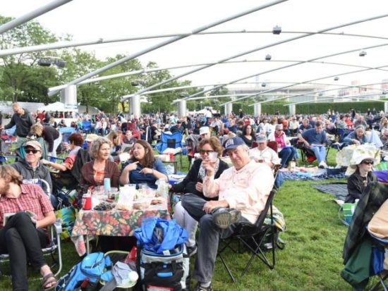 Picnic at Millennium Park