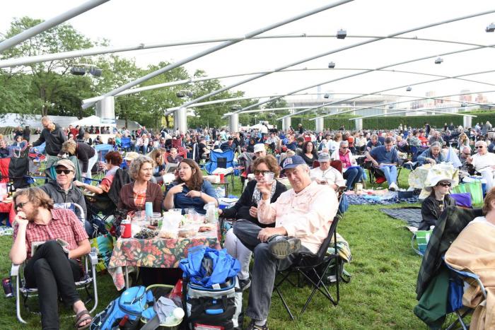 Picnic at Millennium Park