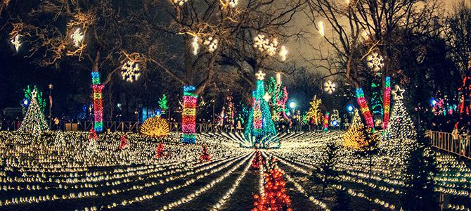 Lincoln Park ZooLights