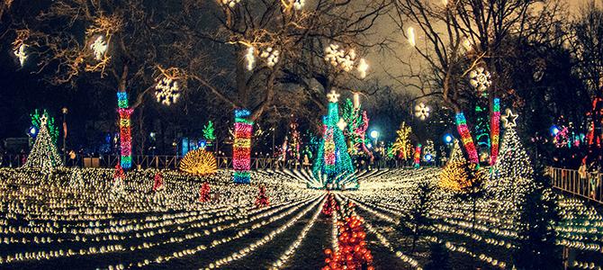 lincoln park zoo photos christmas lights