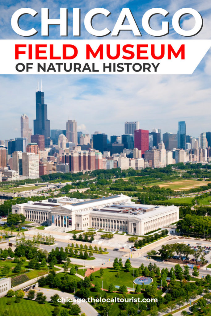 The Field Museum of Natural History in Chicago has millions of specimens, from gems to mummies to dinosaurs. Here's everything you need to know before visiting the Field Museum in Chicago. Chicago Museums | Chicago Things To Do | Chicago Attractions