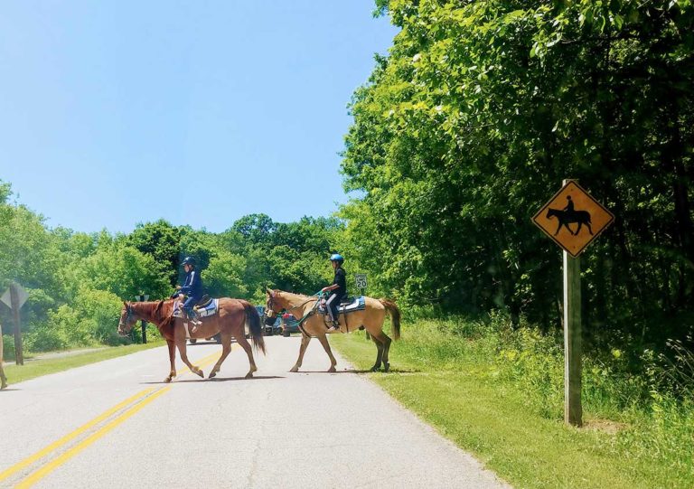 7 Awesome Places to Go Horseback Riding in Chicago Your Chicago Guide